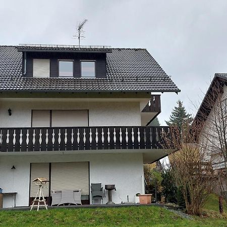 Ferienwohnung Wiesenhang Winterberg Exterior foto